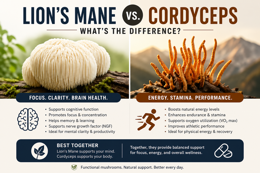 Lion’s Mane vs Cordyceps infographic comparing benefits of functional mushrooms for brain health, focus, energy, stamina, and overall wellness.