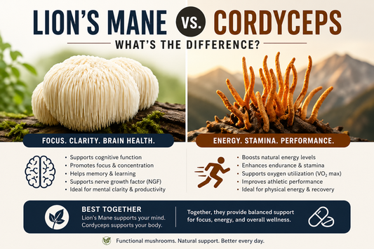 Lion’s Mane vs Cordyceps infographic comparing benefits of functional mushrooms for brain health, focus, energy, stamina, and overall wellness.