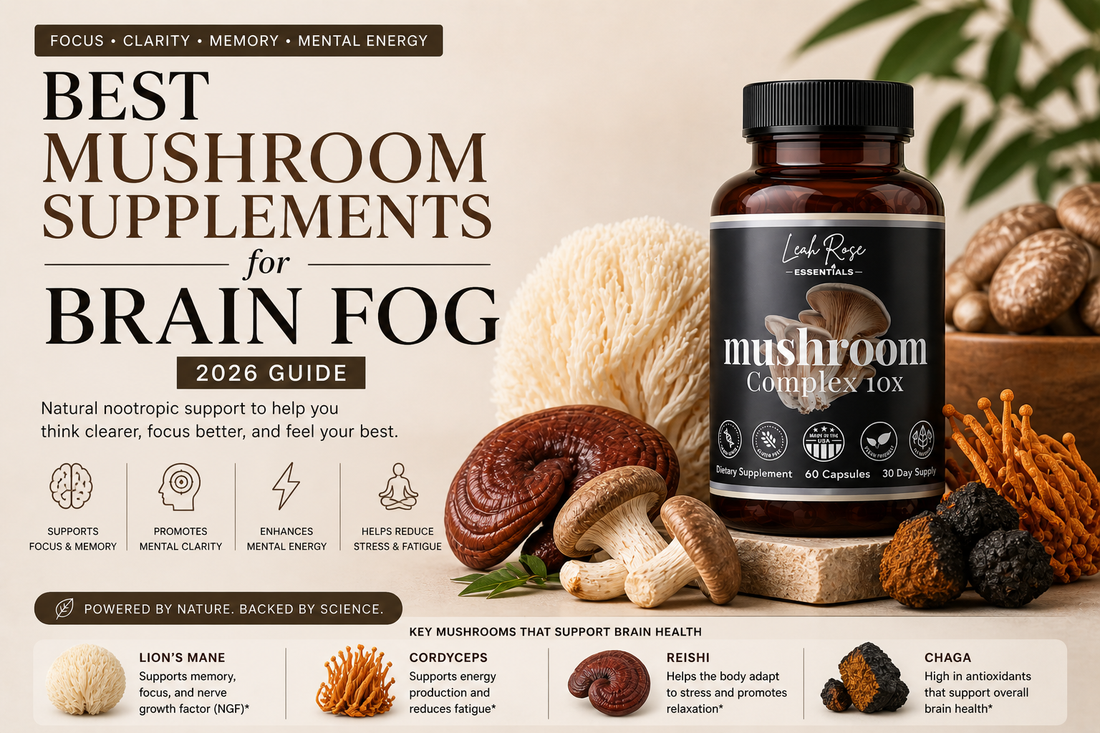 Best mushroom supplements for brain fog featuring lion’s mane, cordyceps, and a 10-in-1 mushroom complex for focus and mental clarity