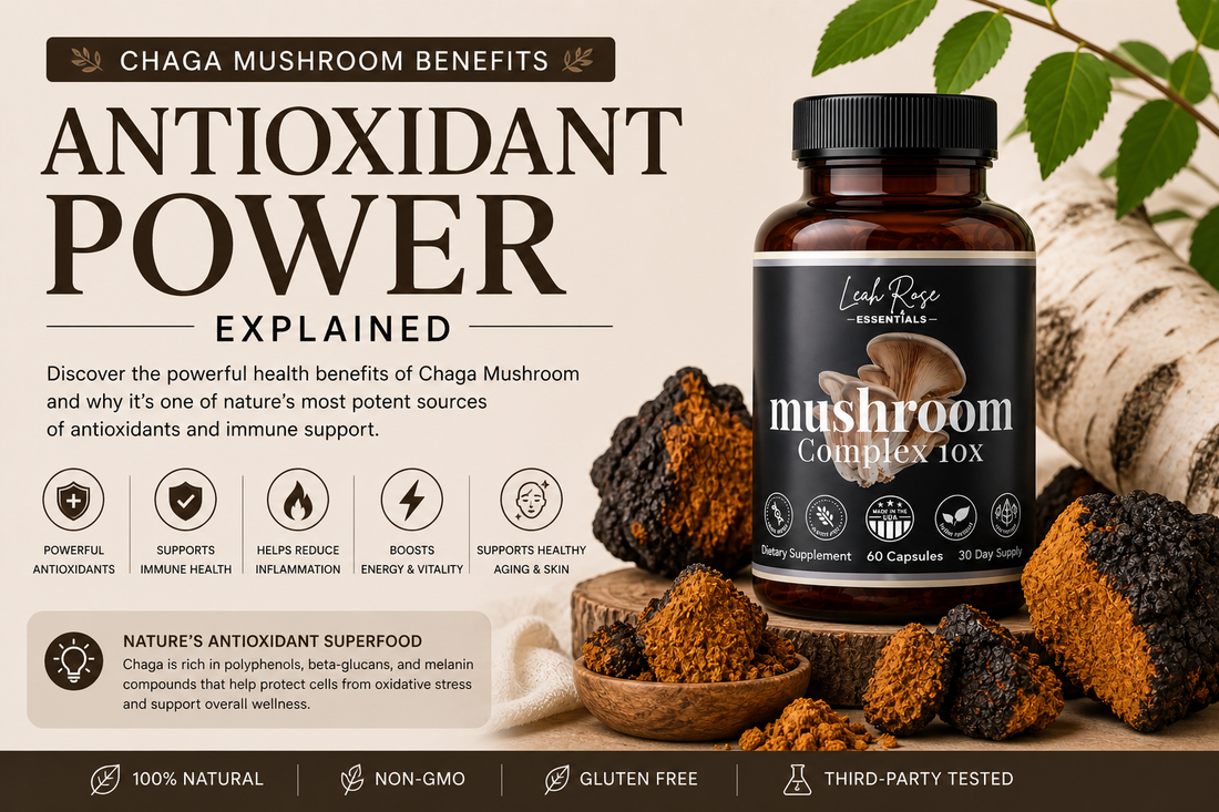 chaga mushroom benefits antioxidant rich functional mushroom with supplement capsules for immune support and wellness
