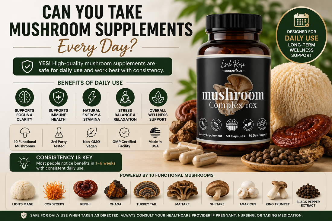 daily mushroom supplement routine featuring functional mushrooms and mushroom complex capsules for focus immunity and wellness support