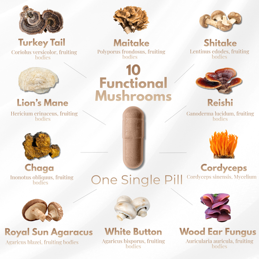Lion’s mane, reishi, cordyceps, and chaga mushrooms used in mushroom complex supplements