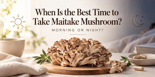 Maitake mushroom with morning sun and nighttime moon representing the best time to take Maitake mushroom.