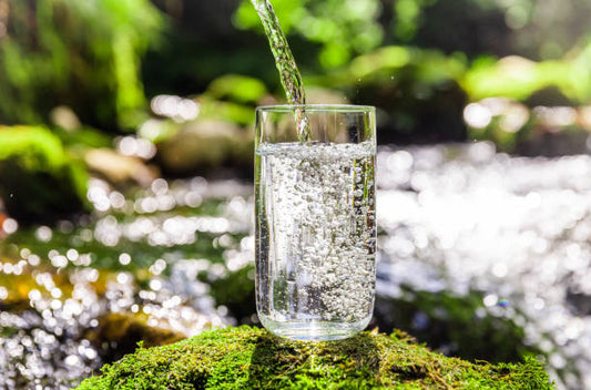 The Importance of Drinking Water