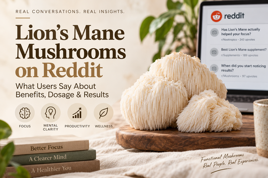 what reddit users say about lion's mane mushrooms