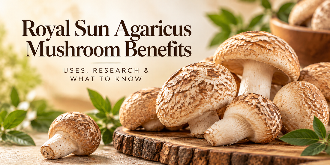 royal sun mushroom benefits