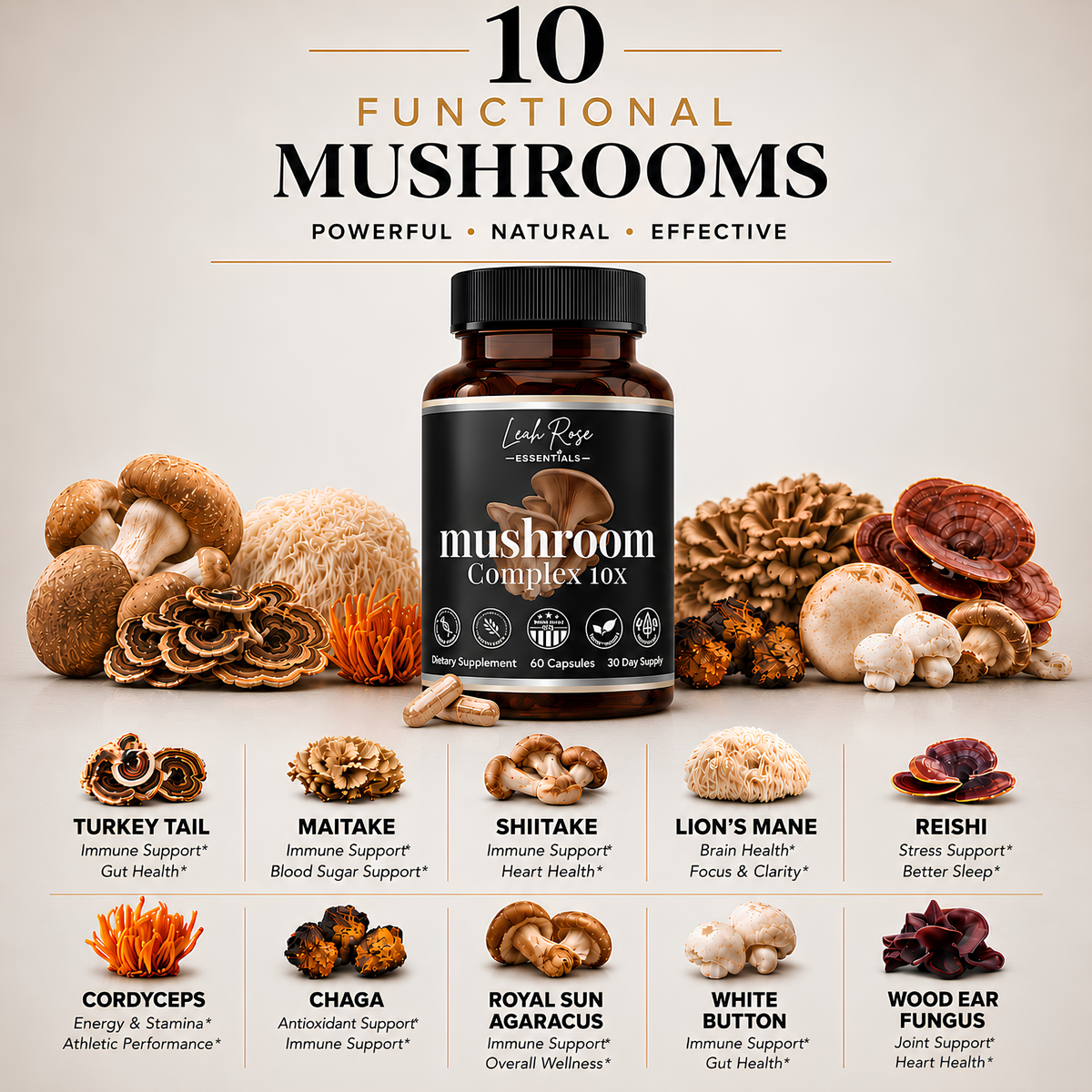 10 functional mushrooms including turkey tail, maitake, shiitake, lion's mane, reishi, cordyceps, chaga, royal sun, white button, and wood ear fungus