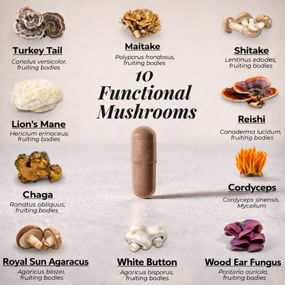 All Natural Mushroom Complex 10X - 60 Capsules