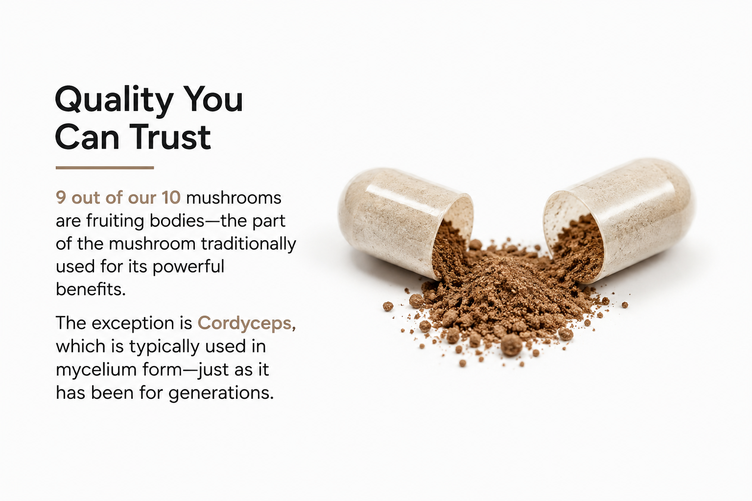 Mushroom capsules with spores and text about mushroom quality on a white background