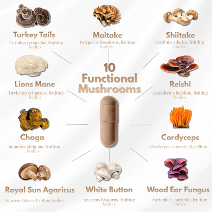 All Natural Mushroom Complex 10X - 60 Capsules